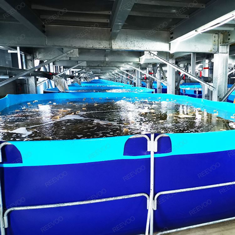FISH TANKS
